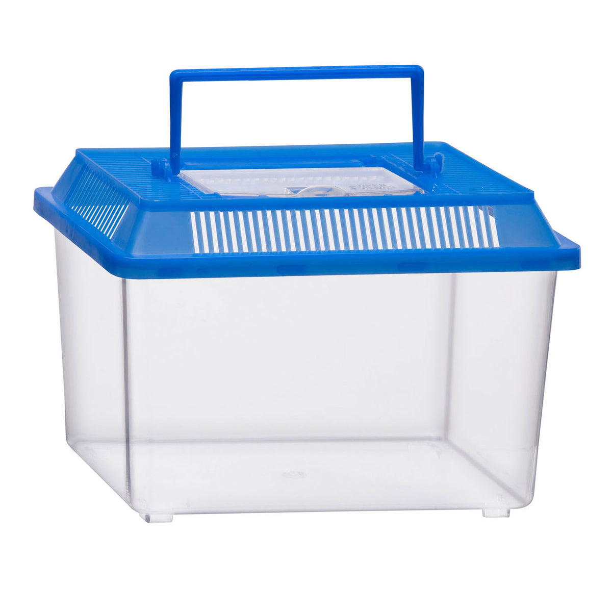 Cassetta per insetti senza marchio con coperchio - cassetta per insetti in plastica trasparente da 1,8 litri.