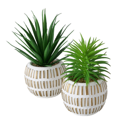 Boltze home pianta artificiale pianta grassa plastica 9x9x13,3 cm 2 assortiti