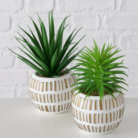 Boltze home pianta artificiale pianta grassa plastica 9x9x13,3 cm 2 assortiti