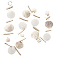 Boltze home capiz ghirlanda di conchiglie 10xh180cm