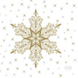 Tovaglioli Duni stelle neve bianco 24x24 cm