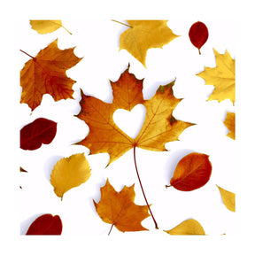 Duni servetten autumn love 33x33cm
