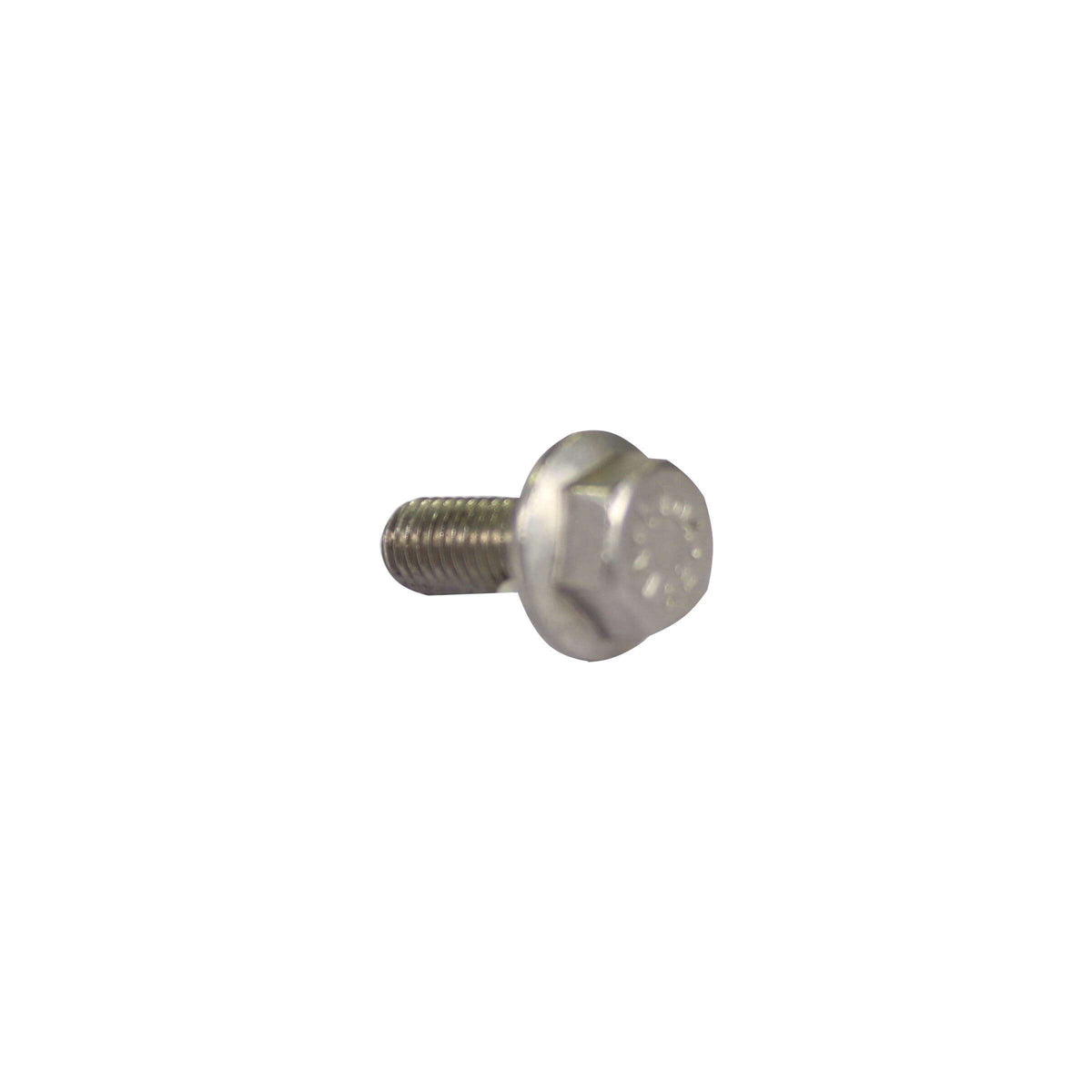 Matter M5X12 Acciaio inossidabile + BorgMoer (P50)