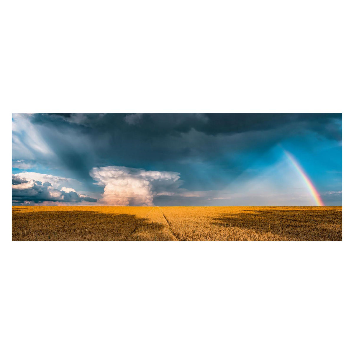 Ravensburger puzzle arcobaleno mistico - puzzle - 1000 pezzi