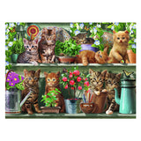 Ravensburger puzzle animali gattini nello scaffale - 500 pezzi.
