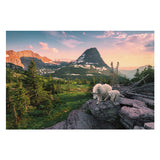 Puzzle Ravensburger capra alpina con giovane - puzzle - 3000 pezzi