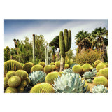 Ravensburger Puzzle Huntington Desert Garden 1000 pezzi Paesaggio.