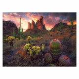Puzzle Ravensburger Cactus, 500 pezzi.