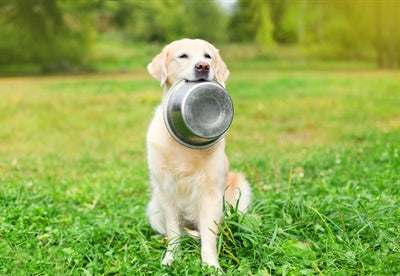 Ciotola per alimenti in acciaio inossidabile Happy Pet