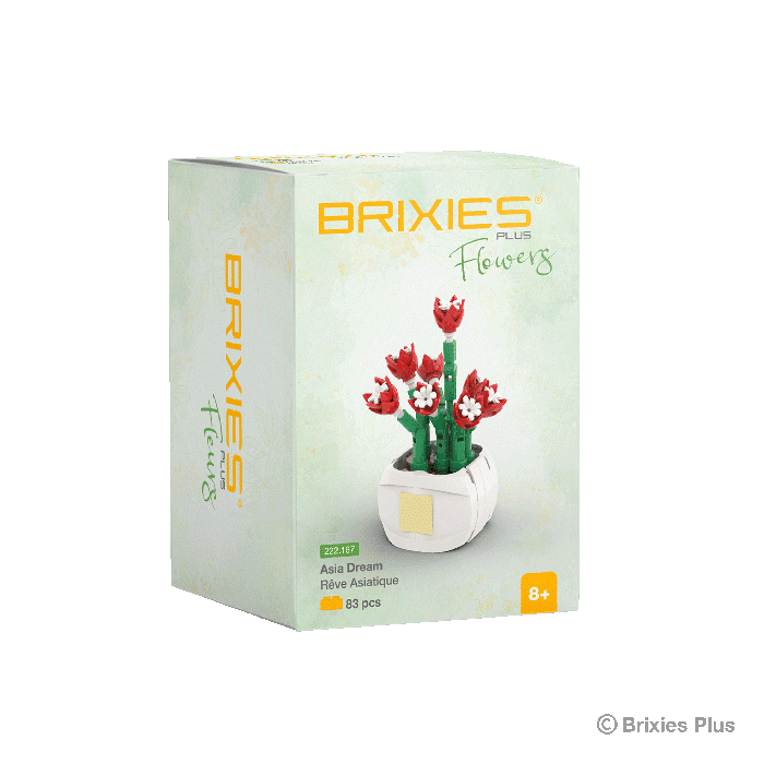 Oku Brixies Plus Fiore Asia Dream mattoncini da costruzione