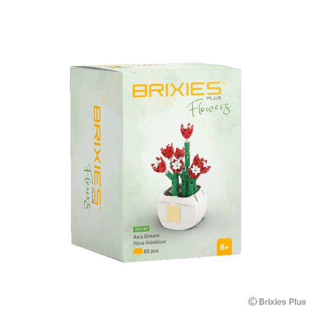 Oku Brixies Plus Fiore Asia Dream mattoncini da costruzione