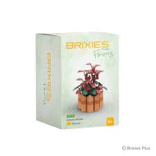 Brixies Oku più elementi costitutivi di fiori autunnali