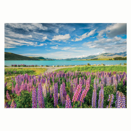 Puzzle Clementoni fiori al lago tekapo, 1500 pz.