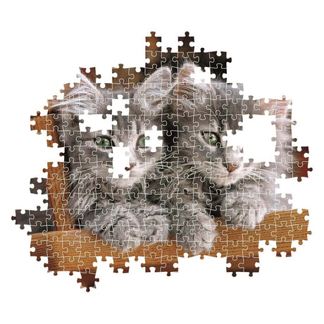 Puzzle Clementoni gattini, 500 pz.