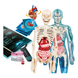 Scienza e gioco Clementoni - super anatomia