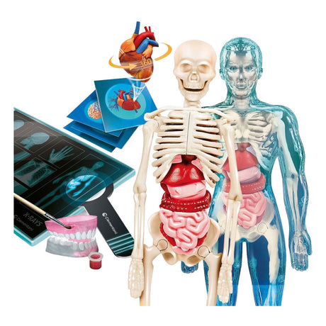 Scienza e gioco Clementoni - super anatomia