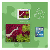 Ravensburger – un mare di rosso – puzzle da 500 pezzi
