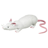 Set mondo animale ratto stretch 3 assortiti