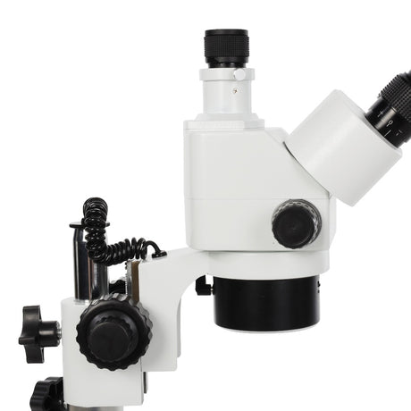 LED BYO-ST341 Microscopio stereo Byomic