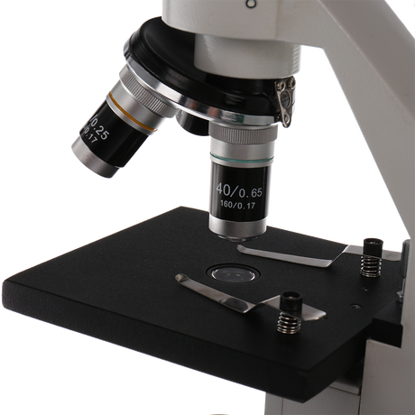 Microscopio di studio Byomic BYOO-30