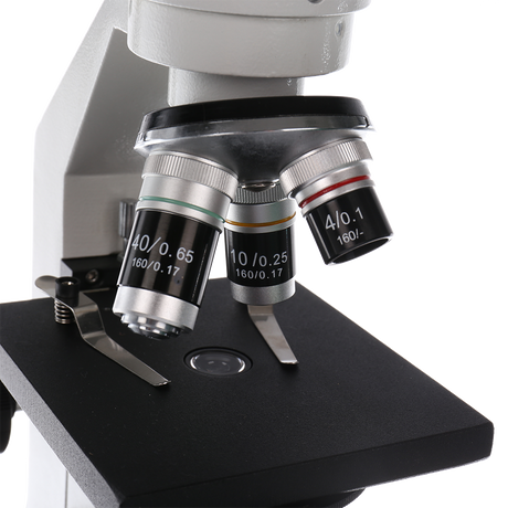 Microscopio di studio Byomic BYOO-30