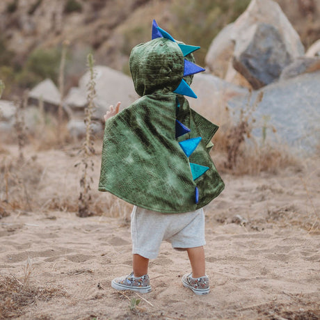 Grandi pretendenti del mantello del drago, 2-3 anni
