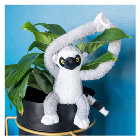 TATTICI COMUNE CUNGLE CUDLE - LEMUR MAKI GRIGIO