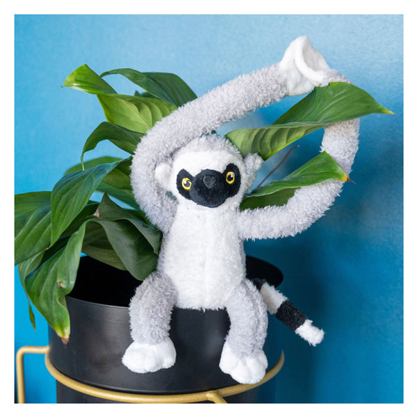 TATTICI COMUNE CUNGLE CUDLE - LEMUR MAKI GRIGIO