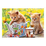 Castorland Tea Time – Puzzle – 500 pezzi – Finitura satinata – Vestibilità perfetta – Qualità europea