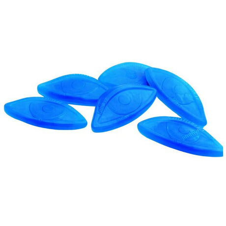 Frisia occhi azzurri (1,5 kg)