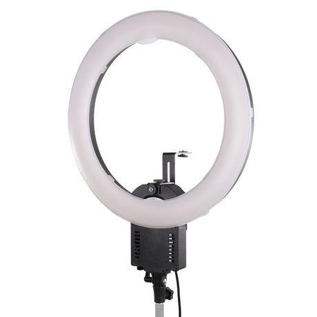 Lampada ad anello Falcon Eyes flc-65 65w + tmb-20z