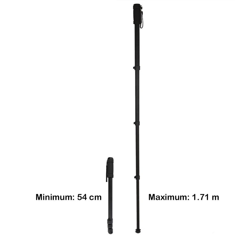 Monopiede Nest peso-1003 h171 cm