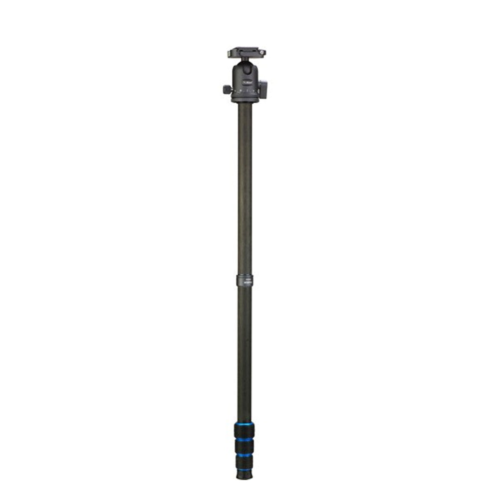 Treppiede professionale in carbonio Nest nt-6294ck + testa a sfera
