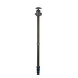 Treppiede professionale in carbonio Nest nt-6294ck + testa a sfera