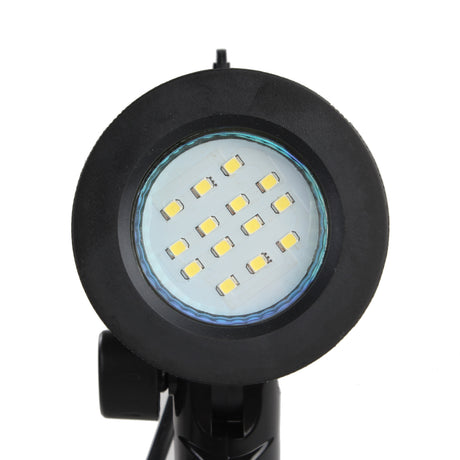 Scatola di registrazione pieghevole Falcon Eyes PBK-40AB-2LS 40x40 cm + 2 lampade
