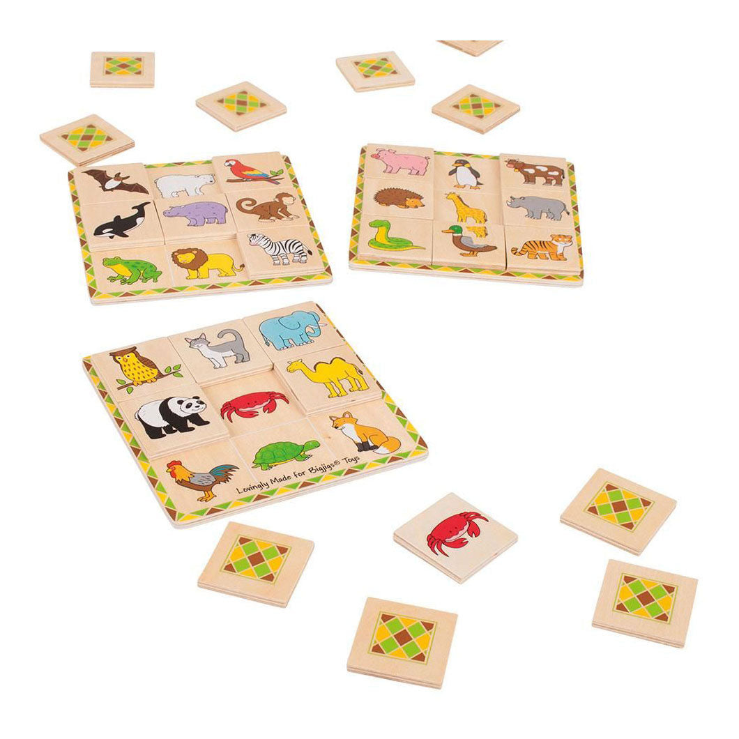Il lotto di Bigjig
