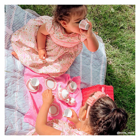 Set da picnic Tidlo in valigia rosa