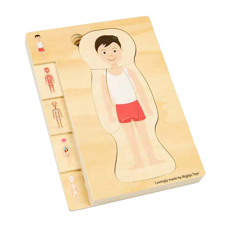 Puzzle anatomico in legno Bigjigs - ragazzo, 26 pz.