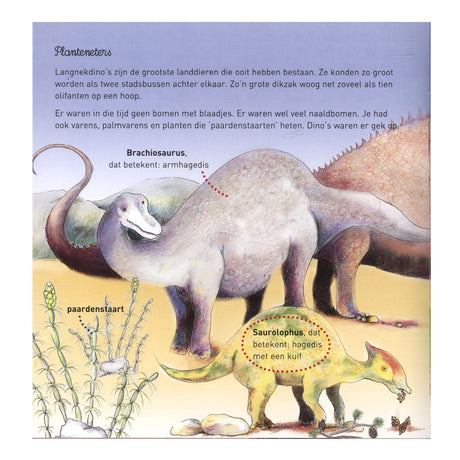 Casa del libro centrale willewete - dinosauri