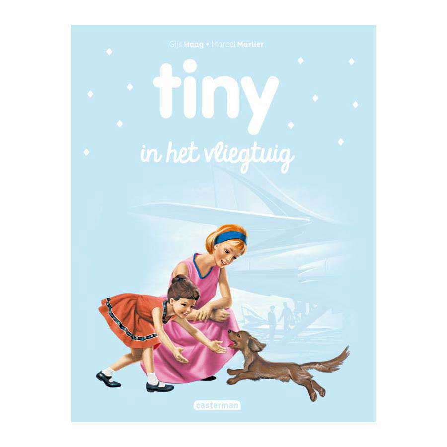 Editore standard minuscolo sull'aereo