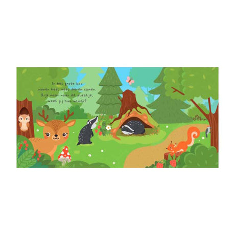 Editori Lanterna, mi trovate? nel libro da leggere nel bosco e 20 cartoline promemoria