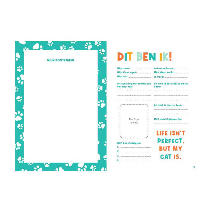 Manuale degli editori di Lantern per i proprietari di gatti