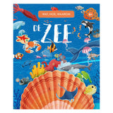 Rebo editori il mare: cosa, come, perché 6+
