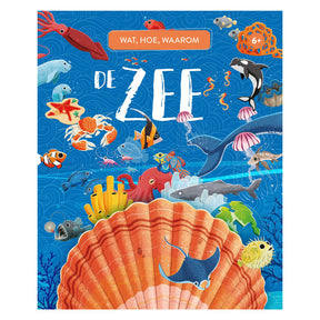 Rebo editori il mare: cosa, come, perché 6+