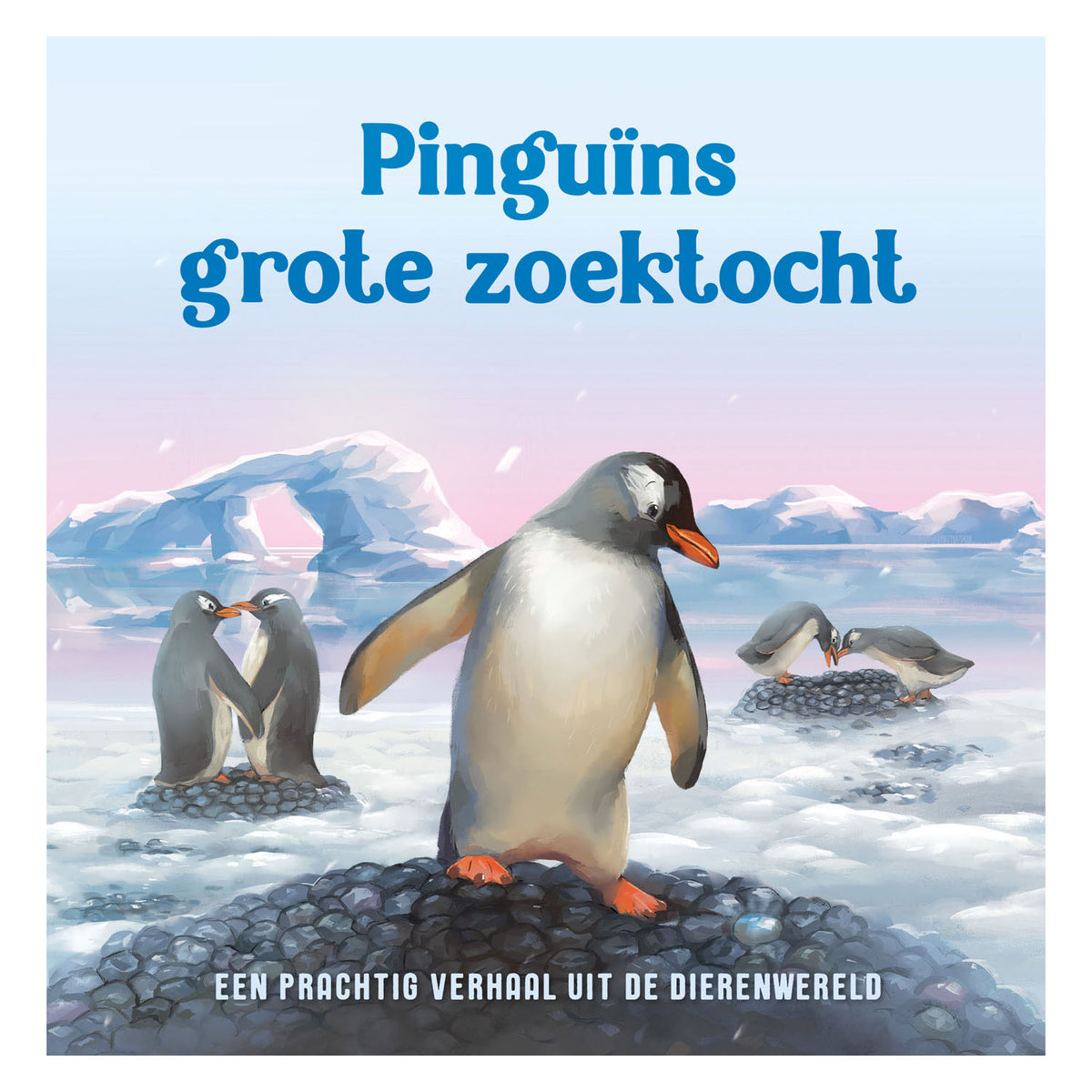 La grande ricerca dei pinguini degli editori Rebo