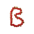 Basil Flower Garland - Flower Streng - Rosso