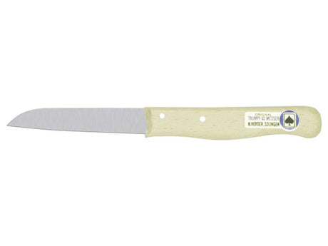 Pastore h. coltello spelucchino non inox legno liscio dritto 10 pezzi