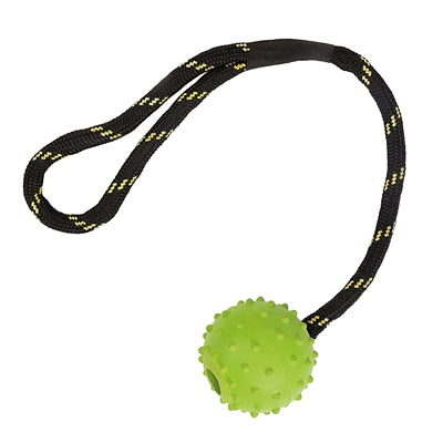 Happy pet giocattoli resistenti galleggiante corda in gomma con palla asst