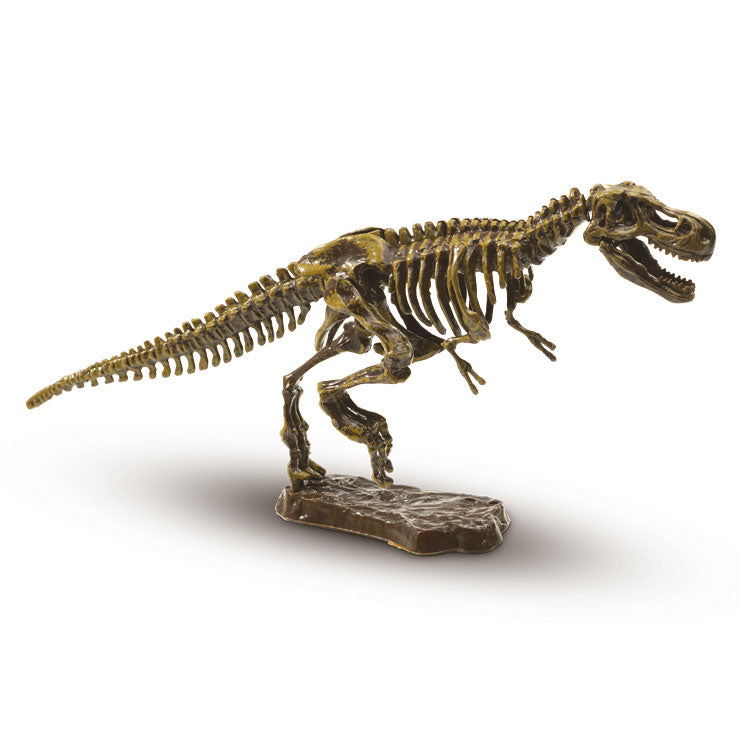 La sua creatività ha dissotterrato il T-Rex