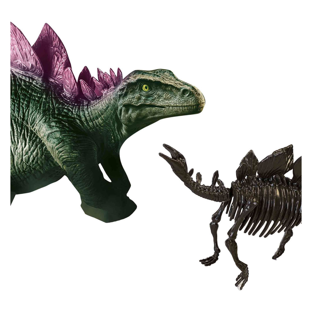 La tua creatività esplora Dino e Scheletro Dissotterra 2 in 1: Stegosauro